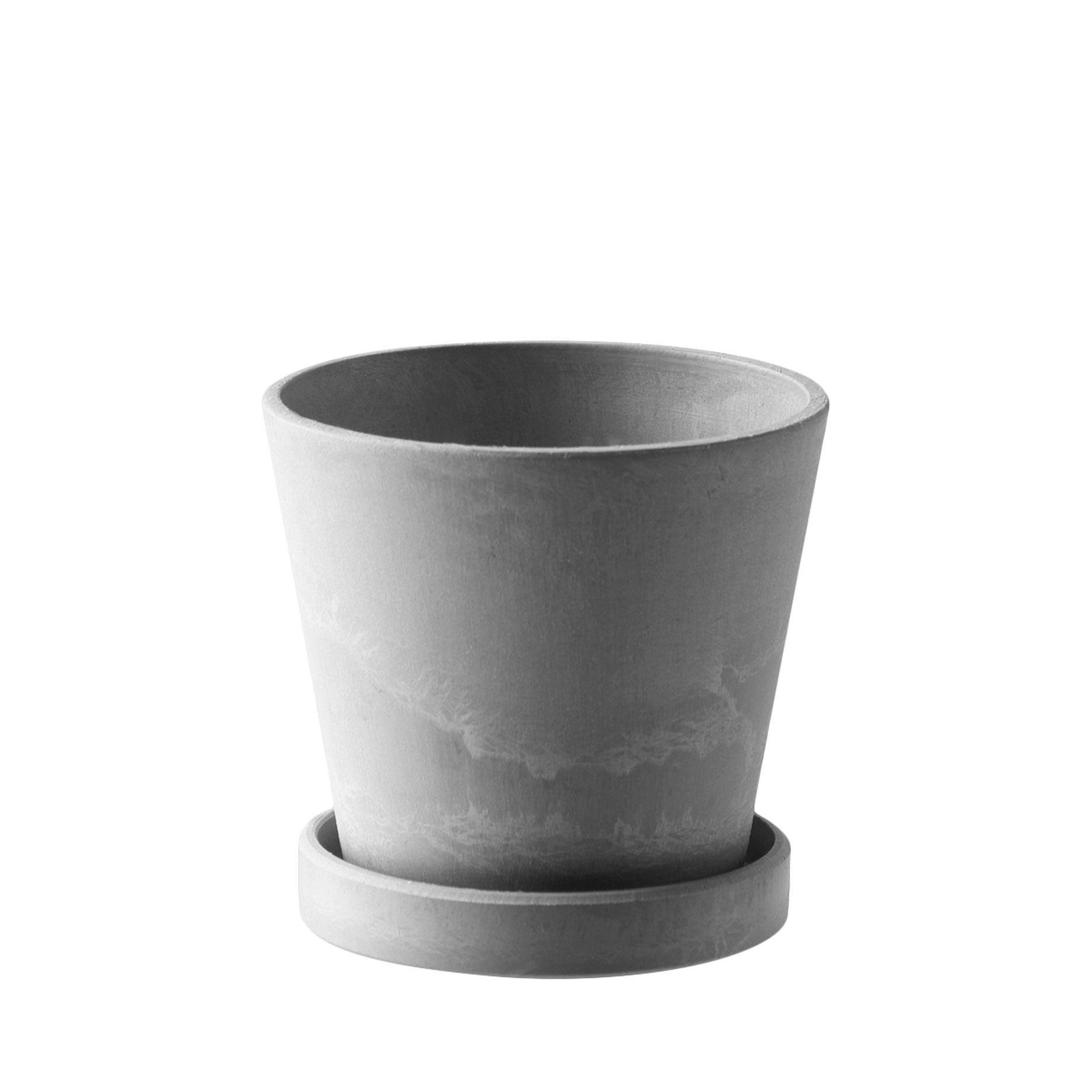 Scilla Blumentopf H6,2 cm